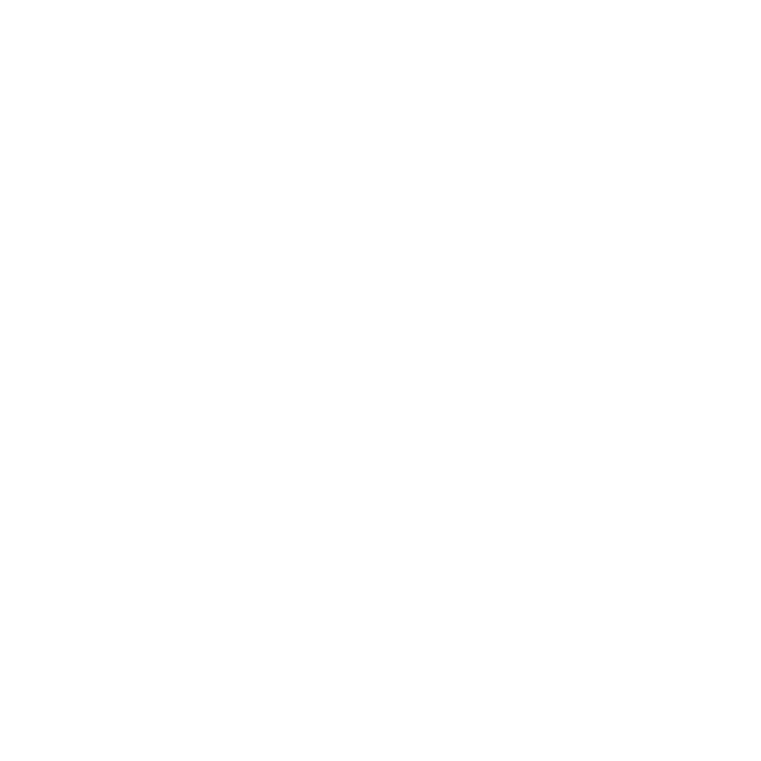 Partner 1